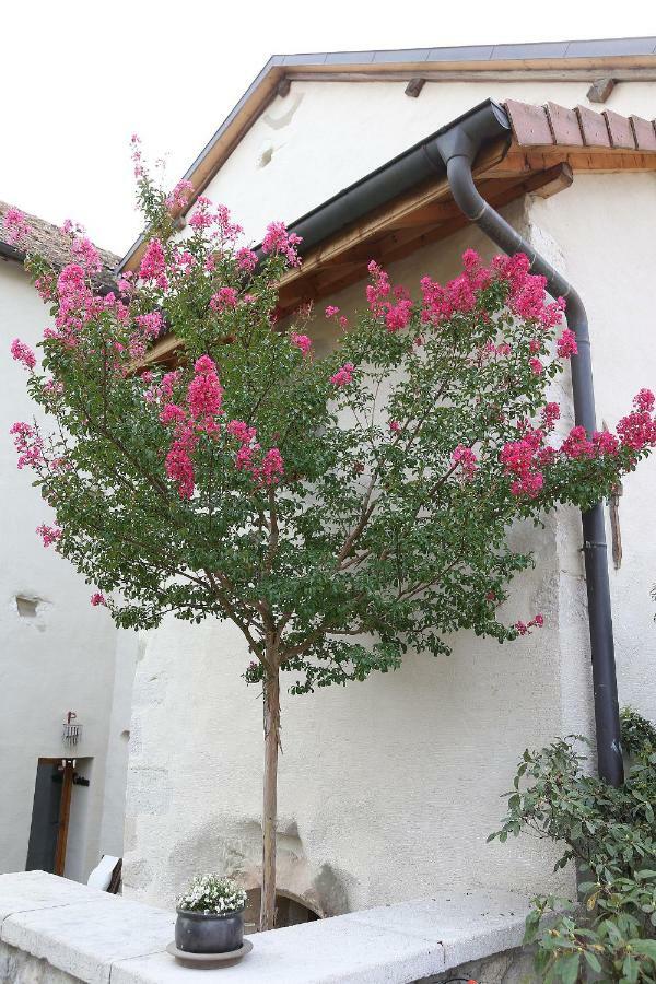 Le Manoir Bed & Breakfast Chaumont  Bagian luar foto
